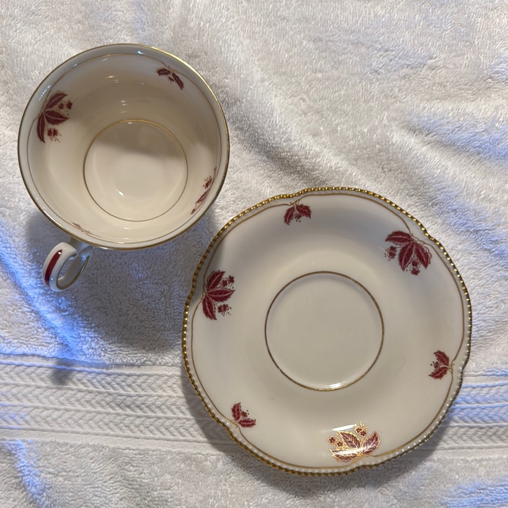 Elegant Red and Gold Tea Cup and Saucer Set
